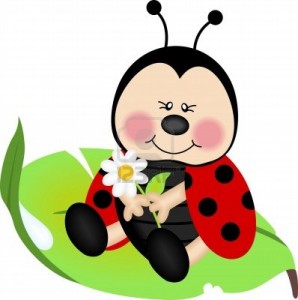 Biedronka1 