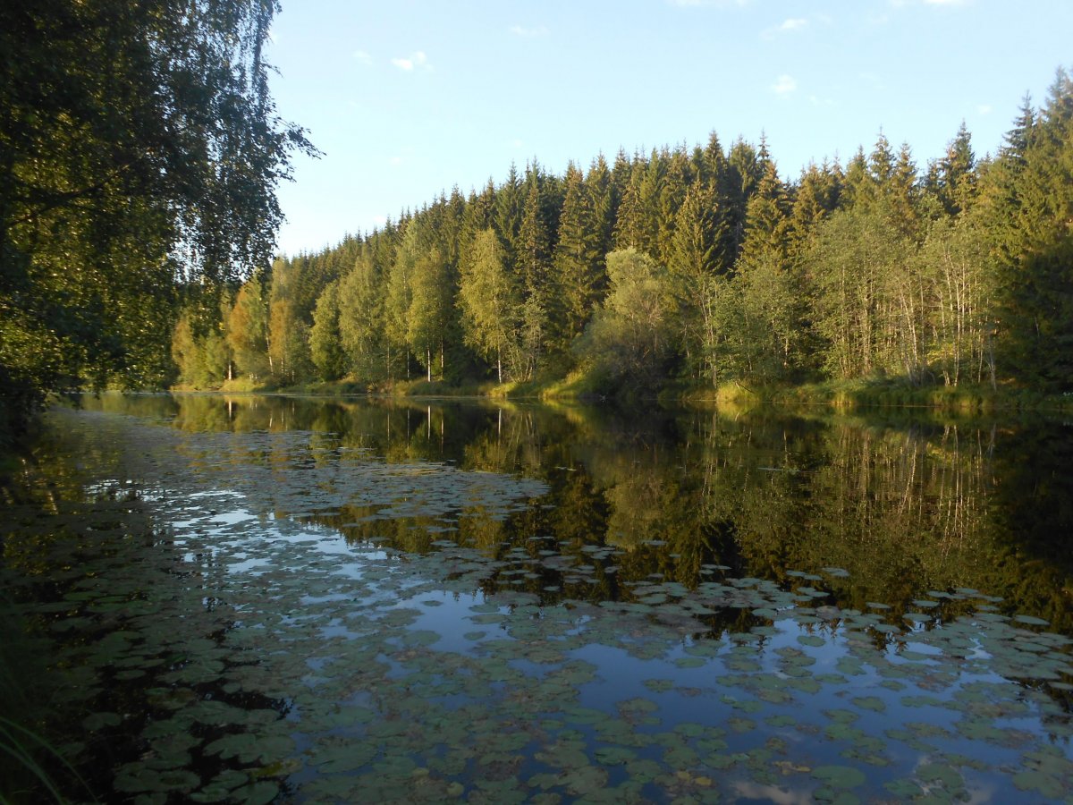 Ewelina642 