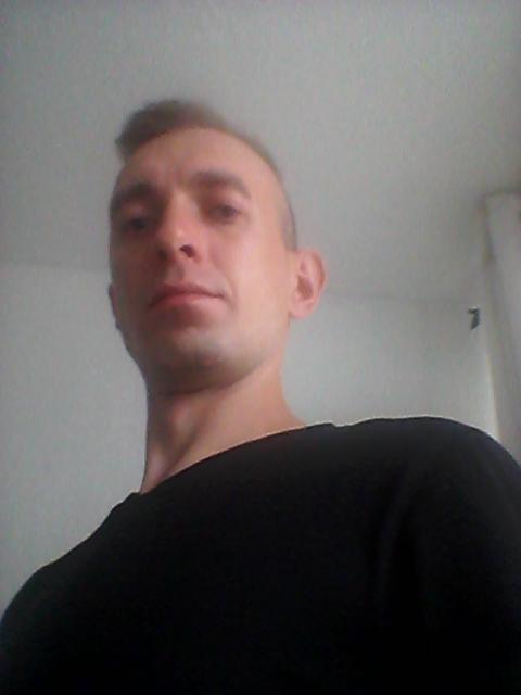 Sokół 