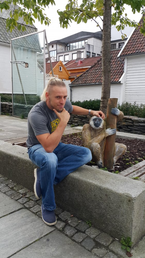 Marcin STV
