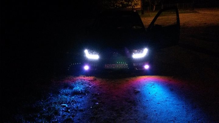 tomasz6 