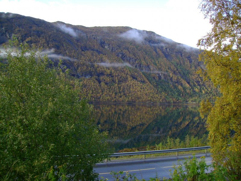 jasien 2010