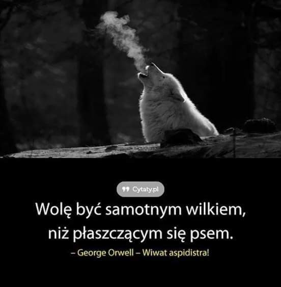 Tomasko 