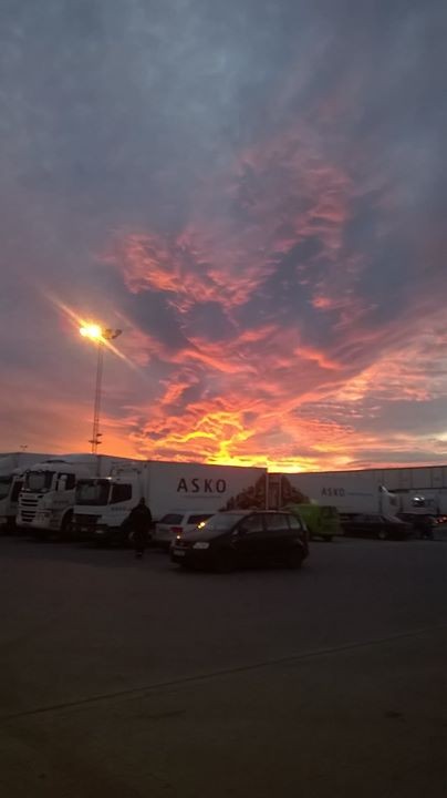 Tomasko 