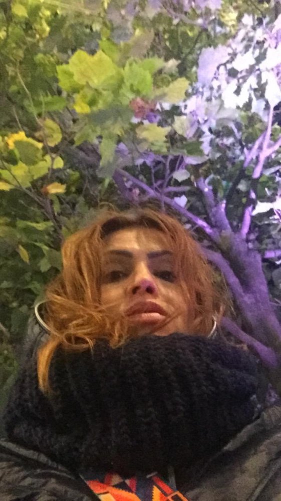 Elii 