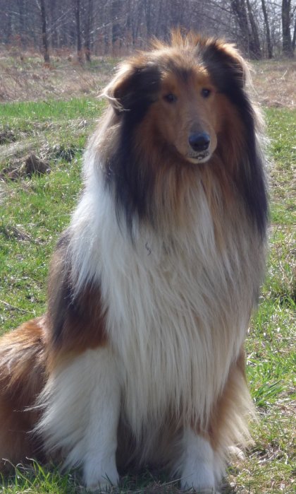 Niko waruje