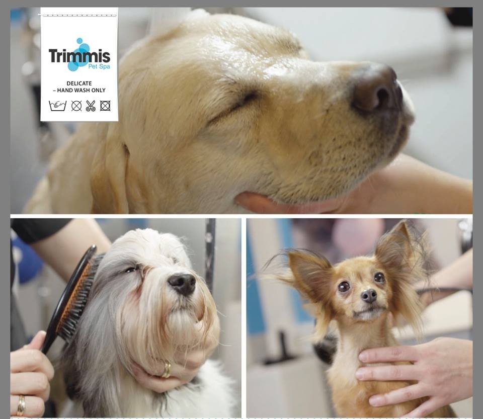 Trimmis Pet Spa Norway 