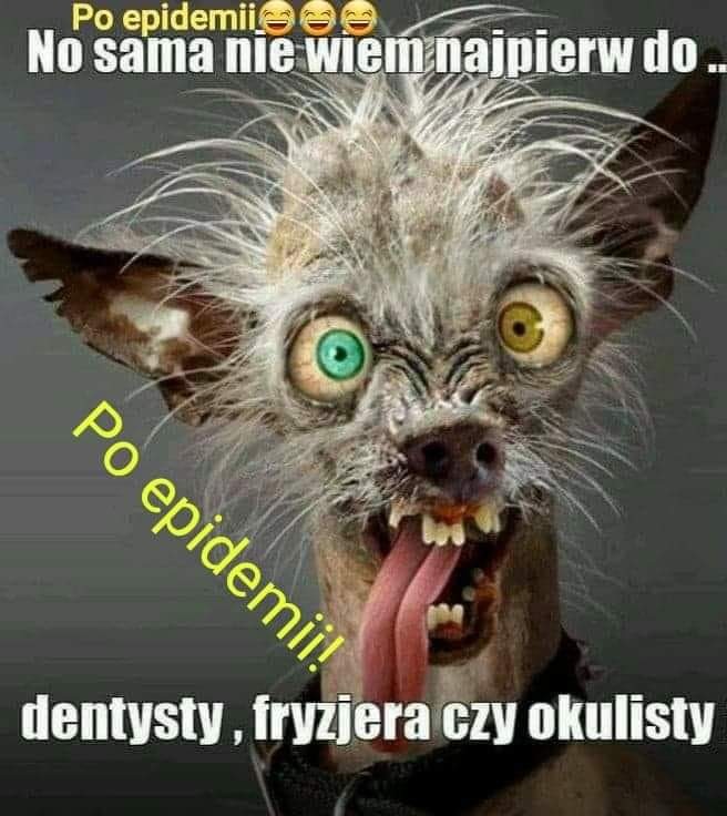 Zezik 