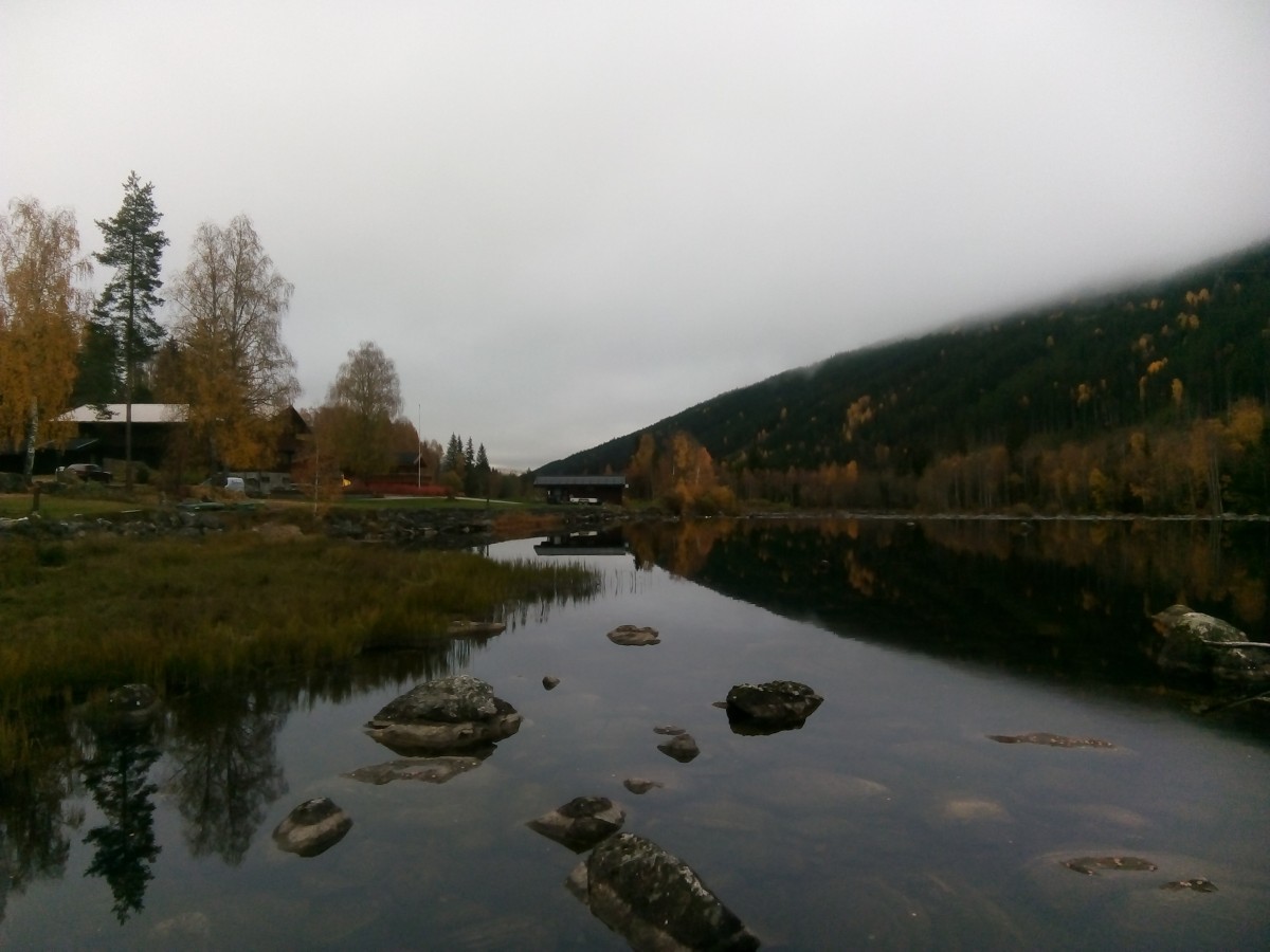 Grzesiak 