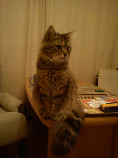 **Junior**
