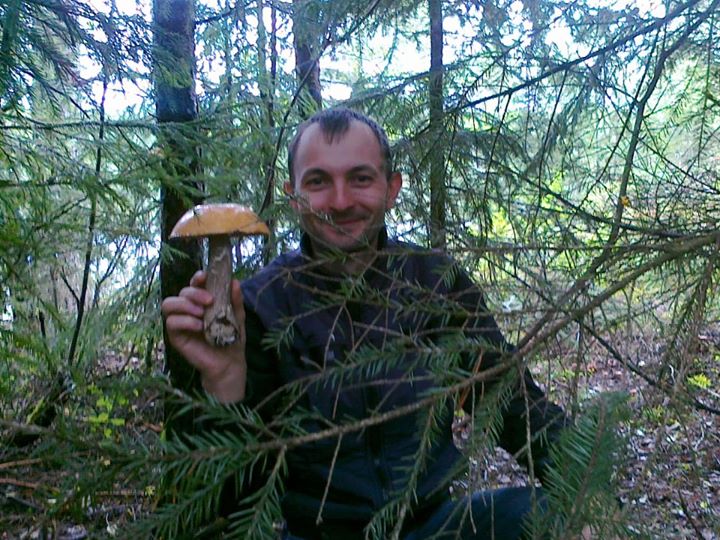 Grzybobranie w Norwegi