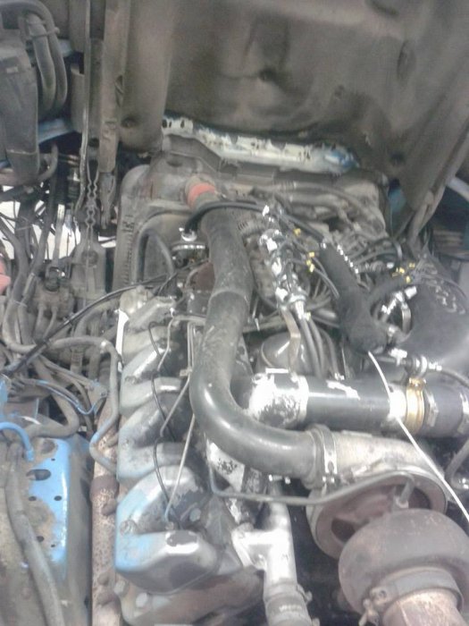 Autogass As Andrzej