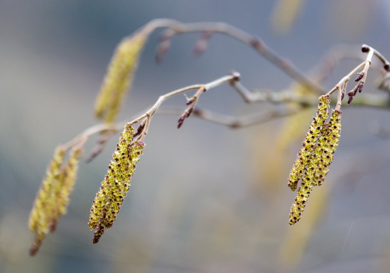 wiosna coraz bliżej