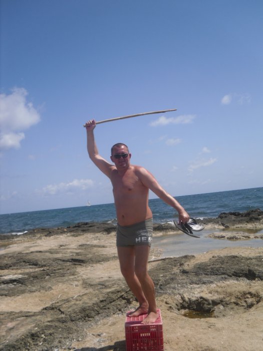 polsk viking
