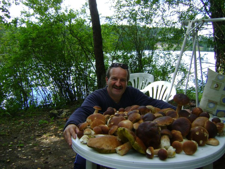 Grzybobranie w Borach Tucholskich.