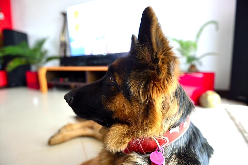 Ryszard Dobies