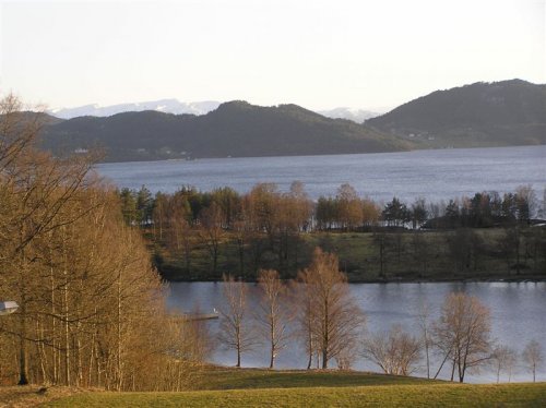 widok