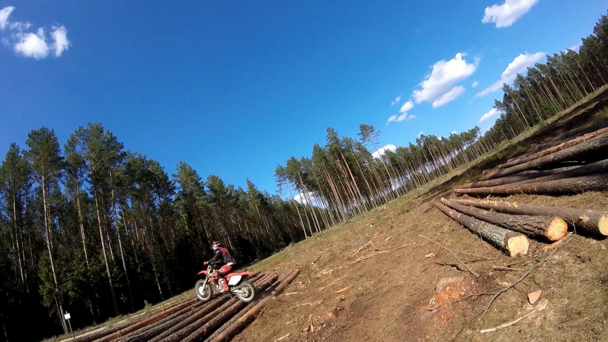 Tom CRF