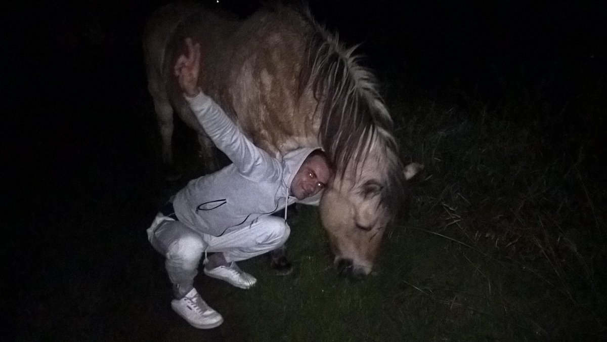 bartek tytyryty