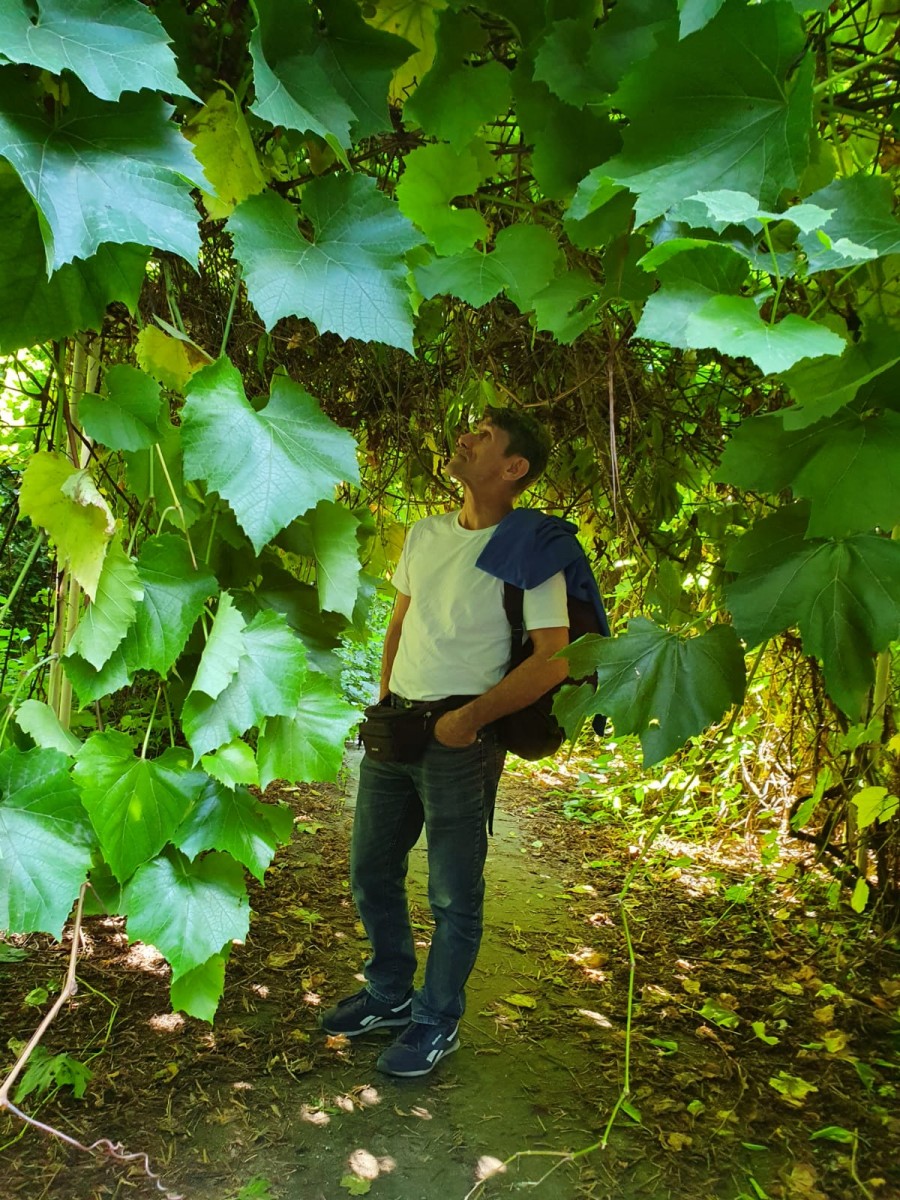 Mirek Klusek