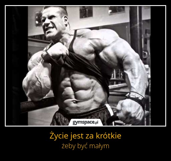 koks dobry
