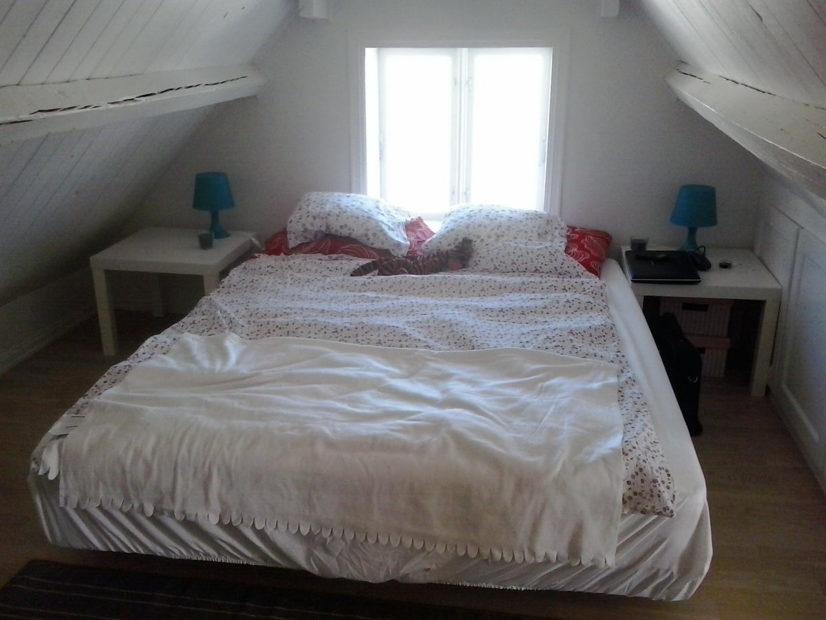 Agnieszka Krzysztofiak