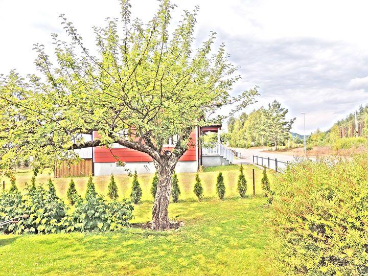 Łukasz Szeroczynski