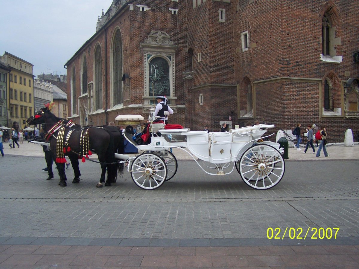 Vitaliy Guminilovich 